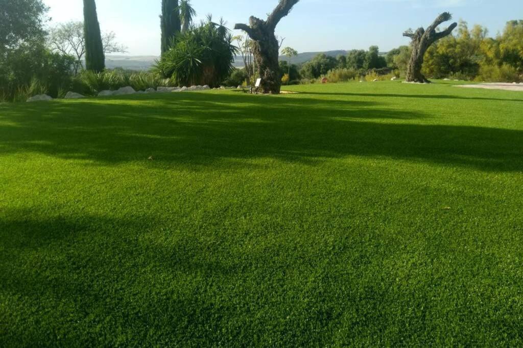 Villa Exclusiva Con Piscina Privada, La Tina Golf 阿尔科斯-德拉弗龙特拉 外观 照片